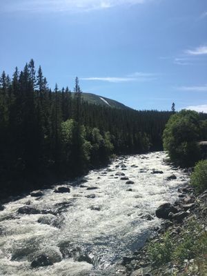 Bydalen - Bild 16