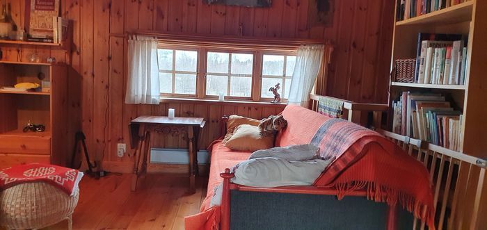 Charmigt härbre i en Dalaby. - Bild 7