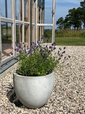 Havsnära arkitektritad villa - Bild 14