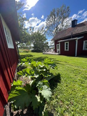 Torp vid vattnet, kvällssol, egen brygga och båt - Bild 14