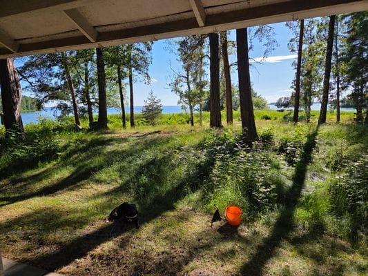 Njut av kvällssolen vid Hjälmarens strand!