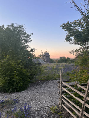 Sommarstuga Lickershamn - Bild 30