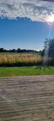 Hus på Österlen - Bild 22