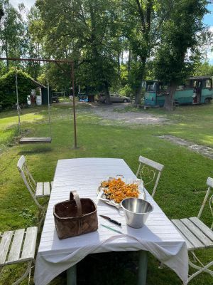 Vackra Ekensholm - Bild 7