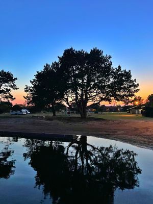Havsnära hus i Ronehamn på Gotland - Bild 32