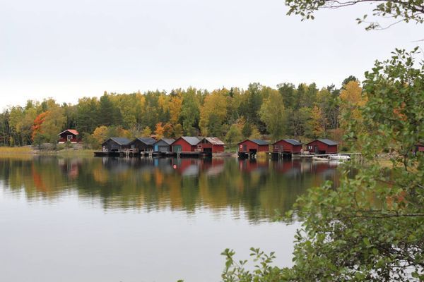 Havstomt nära Öregrund - Bild 6