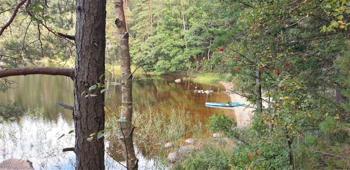 Stuga med bastu precis vid sjön - Bild 24