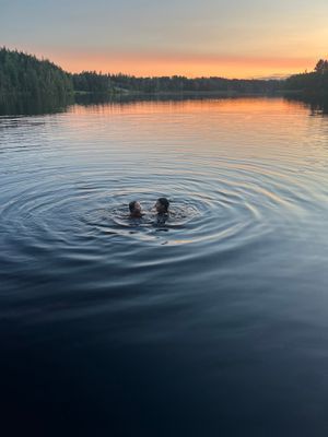 Vackra Ekensholm - Bild 20