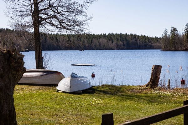 Mysig stuga vid Bågsjön - Bild 22