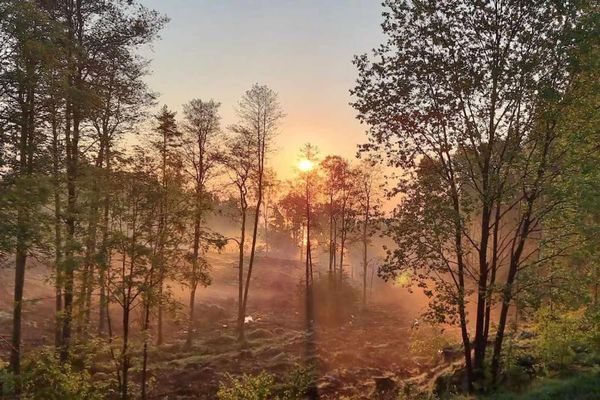 Familjevänlig villa i naturen - Bild 20