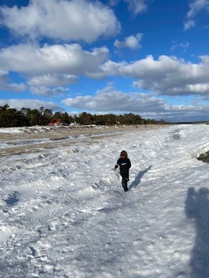 Njut av havet året runt. Modern stuga på naturtomt - Bild 27
