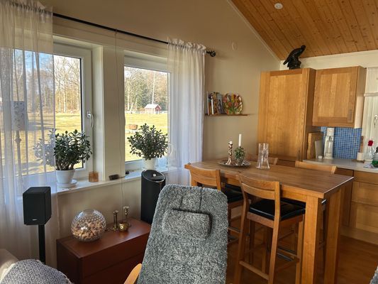 Modern stuga för 6 personer precis vid sjön Virén - Bild 10