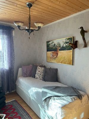 Modern stuga för 6 personer precis vid sjön Virén - Bild 8