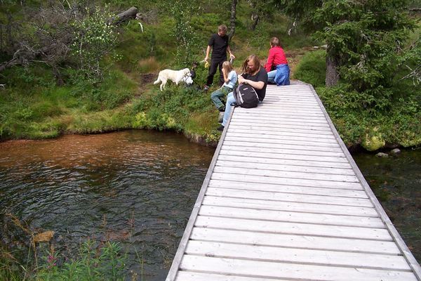 ⭐️ REA-Låga Sommarpriser och Vinter 2026, SÄLEN - Bild 24