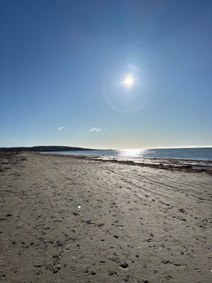 Strandnära familjeparadis med stor trädgård - Bild 10