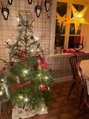 Charmigt nyrenoverat brygghus! - Bild 58