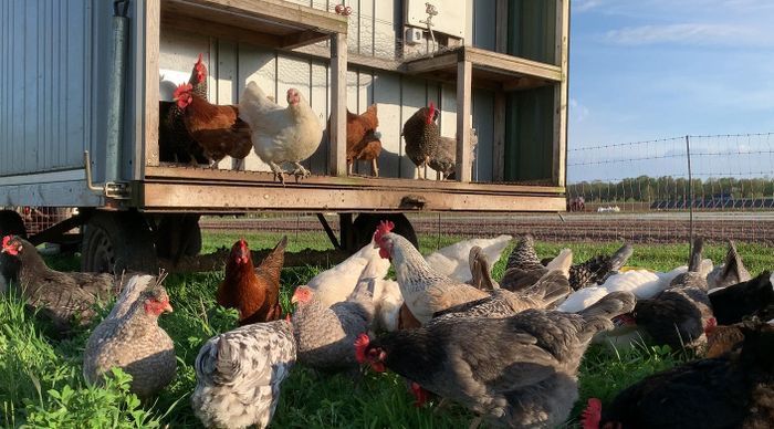 Bo på vår sparrisgård och upptäck Kullabygden! - Bild 13