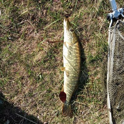Mysig liten stuga i skärgården Figeholm - Bild 29