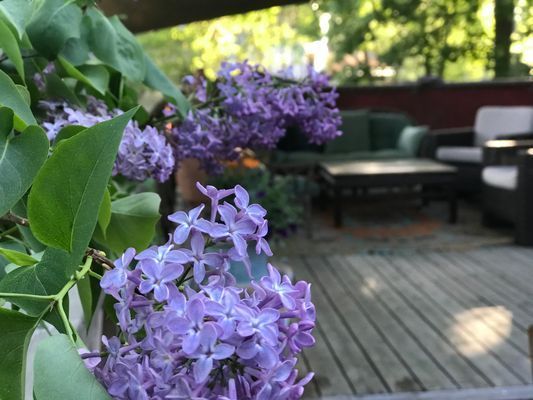 SJÖTOMT I SÖDERLÄGE, 15 min. från Stockholm City - Bild 14