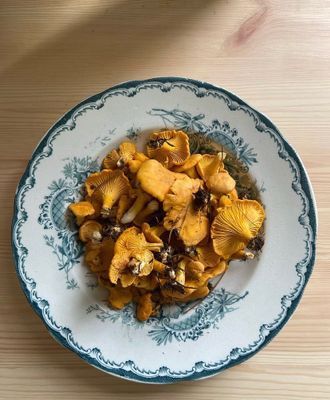 Drömstuga med sjöutsikt och egen badplats - Bild 12