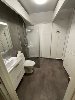 Häggenäs stora huset