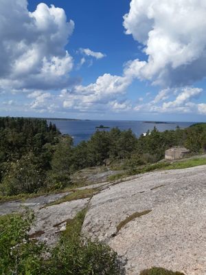 Sjönära stuga i trevligt område Gräddö/Rådmansö - Bild 28