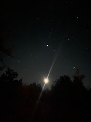 Edenhill ligger högt upp i skogen och himlavalvet är magnifikt vid stjärnklara kvällar.