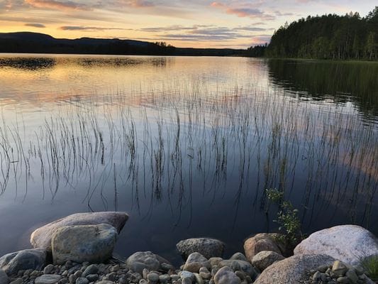 Nyrenoverad stuga nära bad, fiske och skidorter - Bild 14