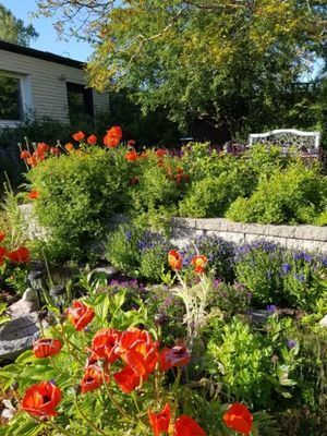 Centralt, promenadväg till Ringmuren och old town.