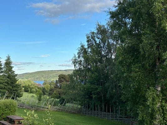 Bild 3 på Tallstigens guesthouse