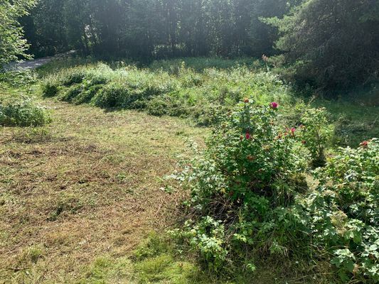 Sommarstuga i sommaridyll uthyres - Bild 7