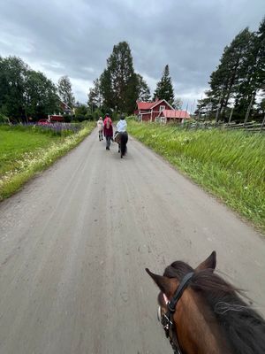 Stuga 20 min från Järvsö med privat brygga! - Bild 12