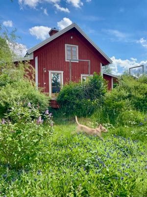 Torpet mot väst