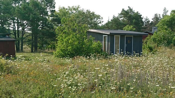 Bild 3 på Lugnt naturskönt i Rute, nära Furillen och Fårö