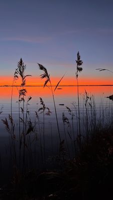 Stuga på kållandsö - Bild 12