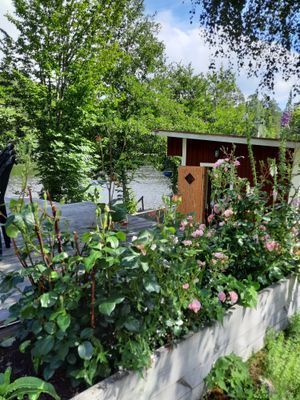 Bild 3 på NATURPARADIS MED ENSKILT LÄGE I NATURRESERVAT