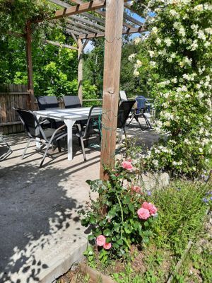 NATURPARADIS MED ENSKILT LÄGE I NATURRESERVAT - Bild 6