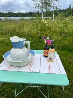 Stuga med sjötomt , ponnyer i hagen , jacuzzi . - Bild 52