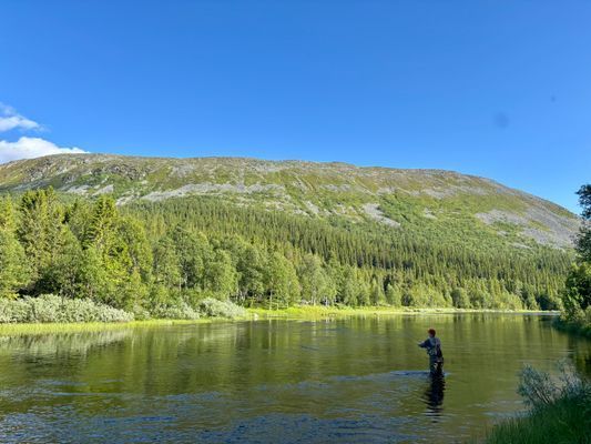 Välutrustad stuga i Fjällhalsen, Bydalen - Bild 20