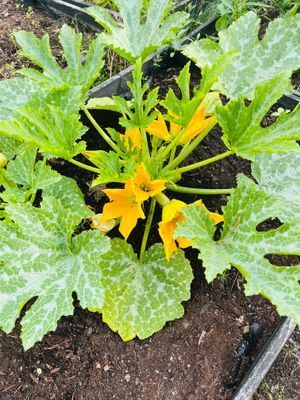 Exklusivt boende på egen ö - Bild 22