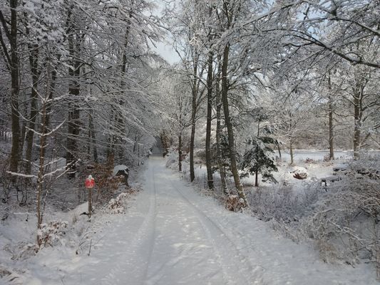 NATURPARADIS MED ENSKILT LÄGE I NATURRESERVAT - Bild 25