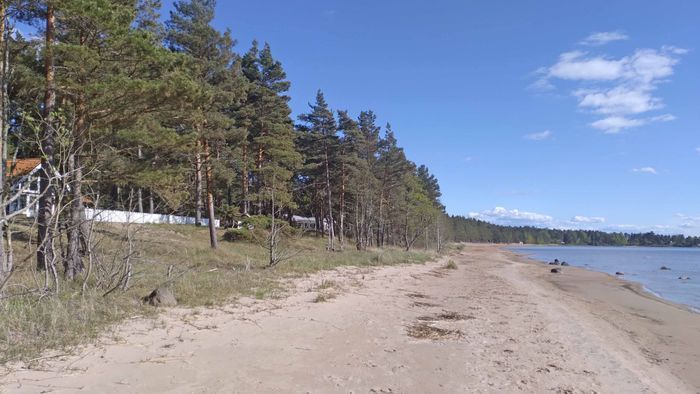 Vänerns "Riviera" (50m från boningshus)