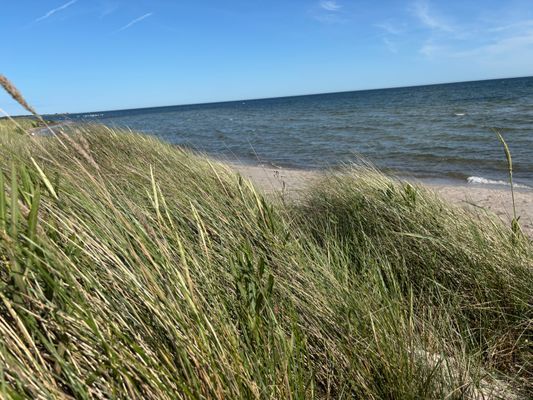 Stuga på stranden i Herta på Sydöstra Gotland - Bild 9