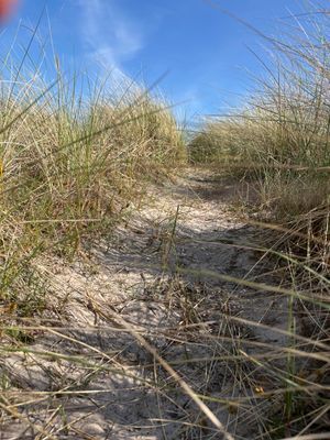 Stuga på stranden i Herta på Sydöstra Gotland - Bild 10