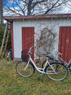 Soligt med stor tomt - Bild 22