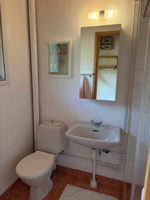 Badrum med dusch och tvättmaskin