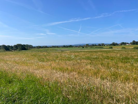 Mysig villalägenhet på härliga Bjärehalvön - Bild 24