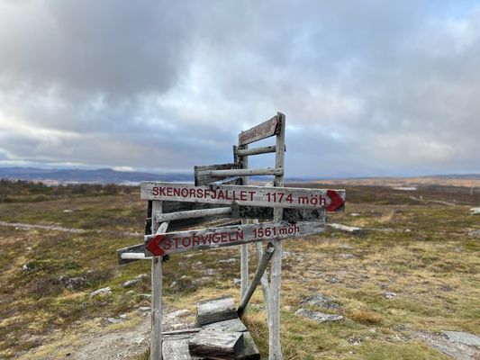 Ledkors ovanför stugan på fjället