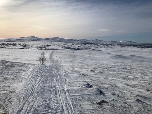 Utsikt mot Sylarna uppe på fjället