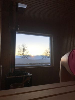 Utsikt från bastu